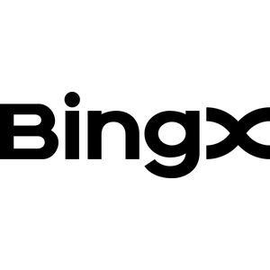 Bing Group